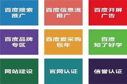 优化SEM广告投放：成功案例分享